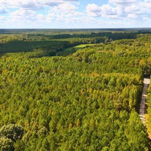 Photo #11 of Off of Bissette Rd, Middlesex, NC 24.5 acres
