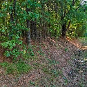 Photo #12 of Off of Bissette Rd, Middlesex, NC 24.5 acres