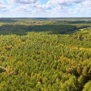 Photo #13 of Off of Bissette Rd, Middlesex, NC 24.5 acres