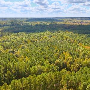 Photo #14 of Off of Bissette Rd, Middlesex, NC 24.5 acres