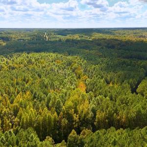 Photo #15 of Off of Bissette Rd, Middlesex, NC 24.5 acres
