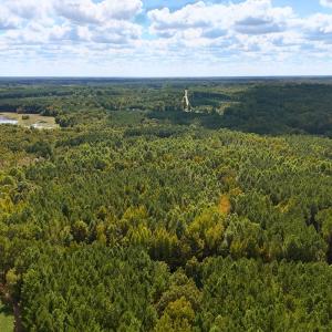 Photo #16 of Off of Bissette Rd, Middlesex, NC 24.5 acres