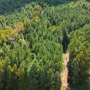 Photo #18 of Off of Bissette Rd, Middlesex, NC 24.5 acres