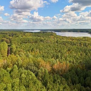 Photo #19 of Off of Bissette Rd, Middlesex, NC 24.5 acres