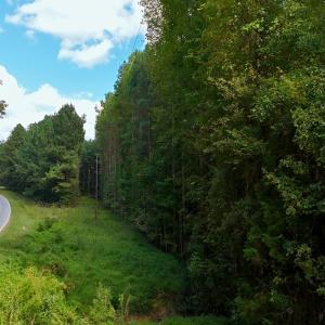 Photo #23 of Off of Bissette Rd, Middlesex, NC 24.5 acres