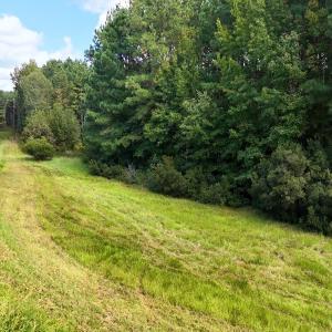 Photo #24 of Off of Bissette Rd, Middlesex, NC 24.5 acres