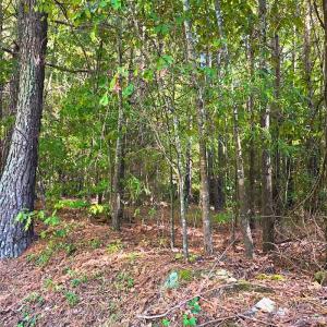Photo #28 of Off of Bissette Rd, Middlesex, NC 24.5 acres