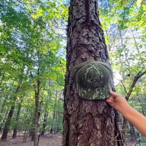 Photo #33 of Off of Bissette Rd, Middlesex, NC 24.5 acres