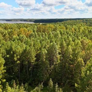 Photo #37 of Off of Bissette Rd, Middlesex, NC 24.5 acres