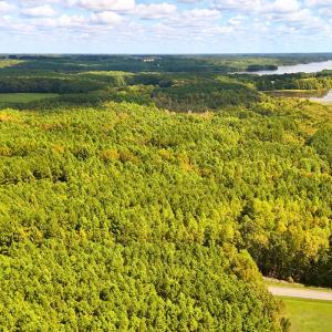 Photo #4 of Off of Bissette Rd, Middlesex, NC 24.5 acres