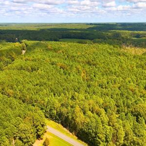 Photo #5 of Off of Bissette Rd, Middlesex, NC 24.5 acres