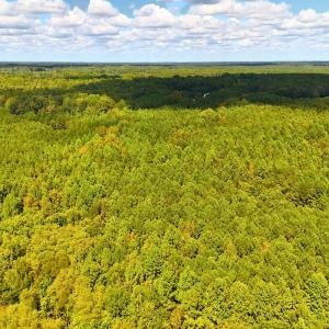 Photo #7 of Off of Bissette Rd, Middlesex, NC 24.5 acres