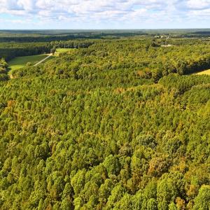 Photo #9 of Off of Bissette Rd, Middlesex, NC 24.5 acres
