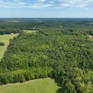 Photo #11 of Off Mann Oakley Road, Rougemont, NC 11.2 acres