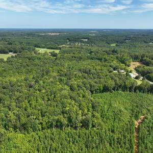 Photo #12 of Off Mann Oakley Road, Rougemont, NC 11.2 acres