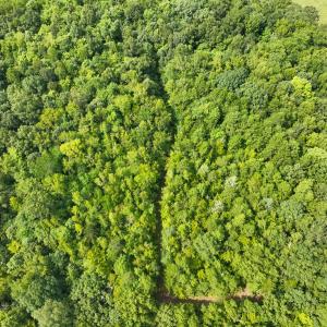 Photo #16 of Off Mann Oakley Road, Rougemont, NC 11.2 acres