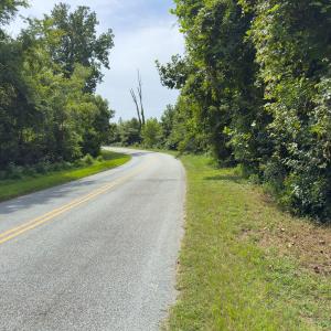 Photo #22 of Off Mann Oakley Road, Rougemont, NC 11.2 acres