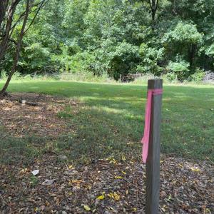 Photo #27 of Off Mann Oakley Road, Rougemont, NC 11.2 acres