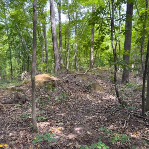 Photo #34 of Off Mann Oakley Road, Rougemont, NC 11.2 acres