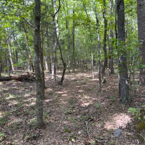Photo #39 of Off Mann Oakley Road, Rougemont, NC 11.2 acres