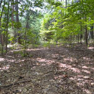 Photo #40 of Off Mann Oakley Road, Rougemont, NC 11.2 acres