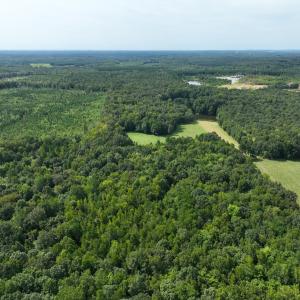 Photo #6 of Off Mann Oakley Road, Rougemont, NC 11.2 acres