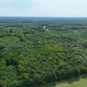 Photo #7 of Off Mann Oakley Road, Rougemont, NC 11.2 acres