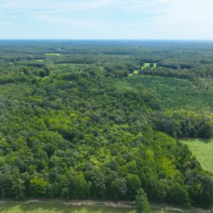 Photo #8 of Off Mann Oakley Road, Rougemont, NC 11.2 acres