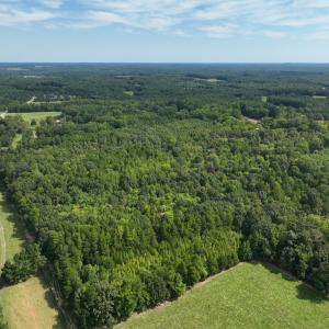 Photo #9 of Off Mann Oakley Road, Rougemont, NC 11.2 acres