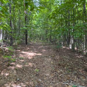 Photo #41 of Off Mann Oakley Road, Rougemont, NC 11.2 acres