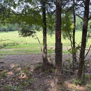 Photo #45 of Off Mann Oakley Road, Rougemont, NC 11.2 acres
