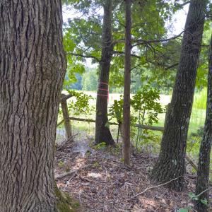 Photo #47 of Off Mann Oakley Road, Rougemont, NC 11.2 acres