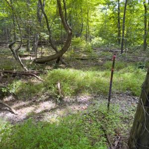 Photo #48 of Off Mann Oakley Road, Rougemont, NC 11.2 acres