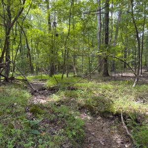Photo #50 of Off Mann Oakley Road, Rougemont, NC 11.2 acres