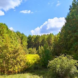 Photo #1 of 9631 Bissette Rd, Middlesex, NC 1.0 acres