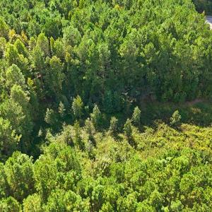 Photo #10 of 9631 Bissette Rd, Middlesex, NC 1.0 acres