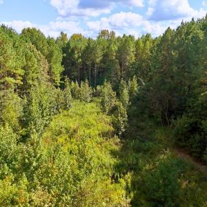 Photo #2 of 9631 Bissette Rd, Middlesex, NC 1.0 acres