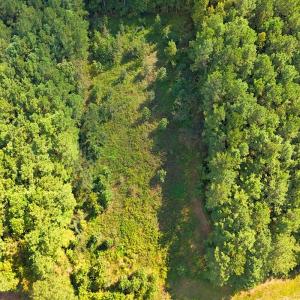 Photo #3 of 9631 Bissette Rd, Middlesex, NC 1.0 acres