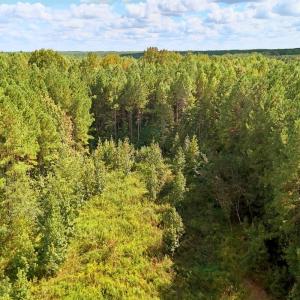 Photo #4 of 9631 Bissette Rd, Middlesex, NC 1.0 acres