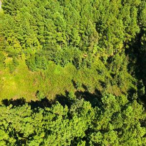 Photo #6 of 9631 Bissette Rd, Middlesex, NC 1.0 acres