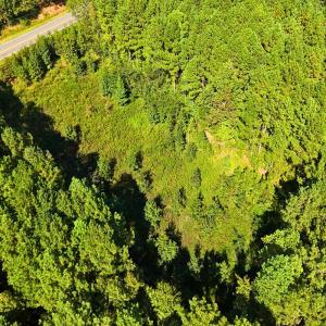 Photo #7 of 9631 Bissette Rd, Middlesex, NC 1.0 acres