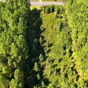 Photo #8 of 9631 Bissette Rd, Middlesex, NC 1.0 acres