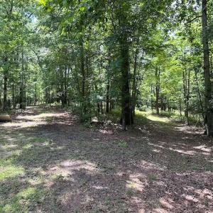 Photo #22 of 9701 Old Stage Rd, Prince George, VA 4.5 acres