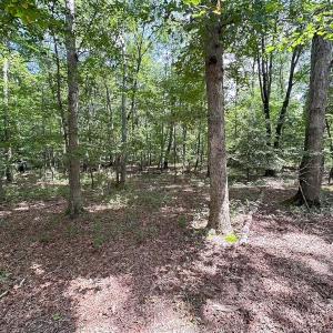 Photo #23 of 9701 Old Stage Rd, Prince George, VA 4.5 acres