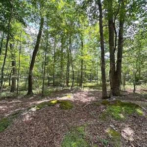 Photo #25 of 9701 Old Stage Rd, Prince George, VA 4.5 acres