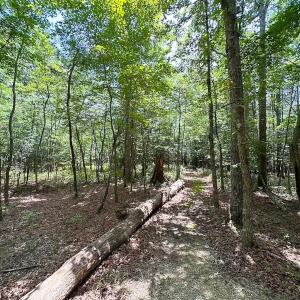 Photo #26 of 9701 Old Stage Rd, Prince George, VA 4.5 acres