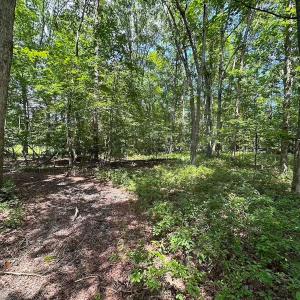 Photo #29 of 9701 Old Stage Rd, Prince George, VA 4.5 acres