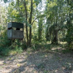 Photo #48 of 100 Hog Island, New Bern, NC 950.0 acres
