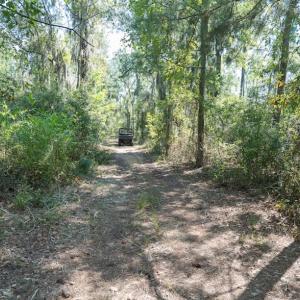 Photo #49 of 100 Hog Island, New Bern, NC 950.0 acres