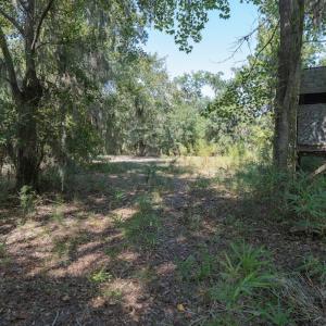 Photo #51 of 100 Hog Island, New Bern, NC 950.0 acres